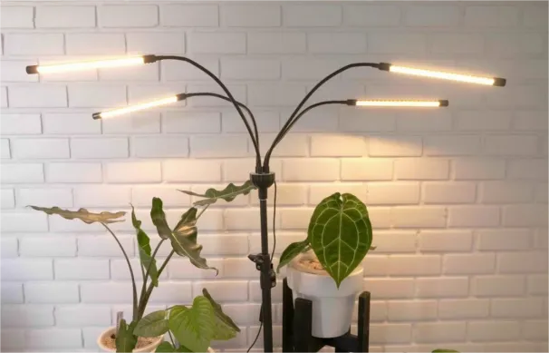 月净赚18.3万美金，园艺小类目也有大市场