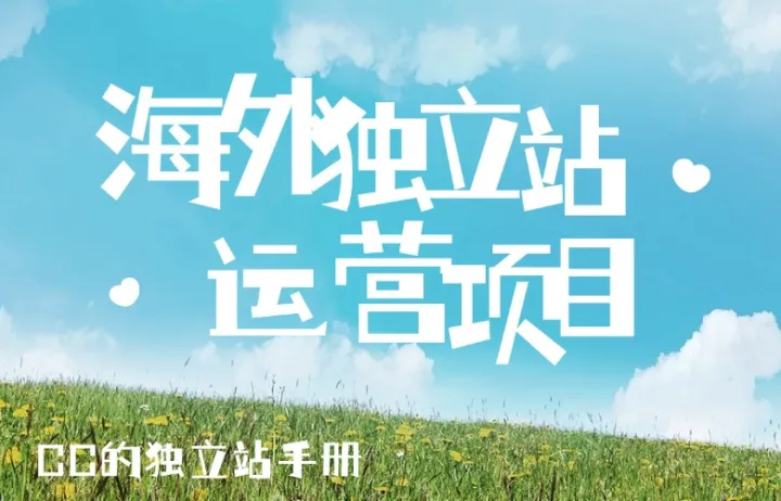 海外独立站运营项目