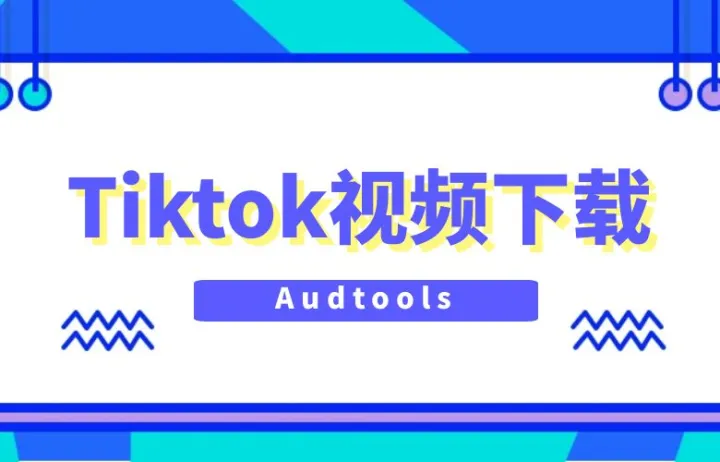 Facebook、Twitter、YouTube、TikTok视频下载，原来如此简单