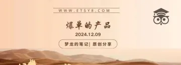 Etsy 平台正在爆单的产品（US） 2024.11