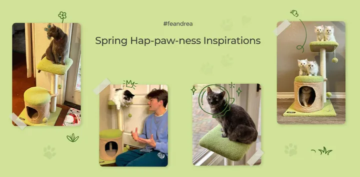 投入回报近20倍！不刷单的家居大卖，在消费者家里拍广告|品牌消费者洞察