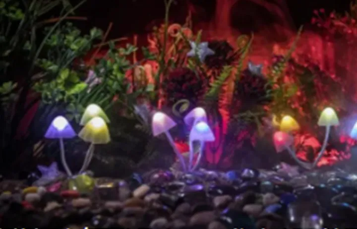 手工蘑菇灯走红TikTok，一盏卖450美元？！