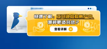 快速了解：亚马逊收款账户中，哪种更适合您？