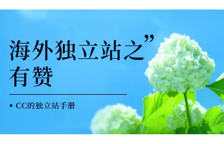 海外独立站之有赞