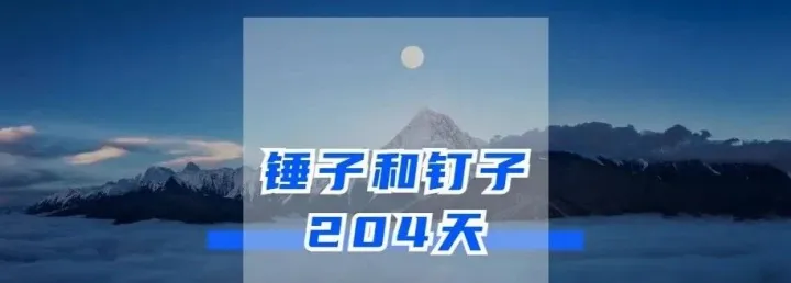 锤子和钉子_204天