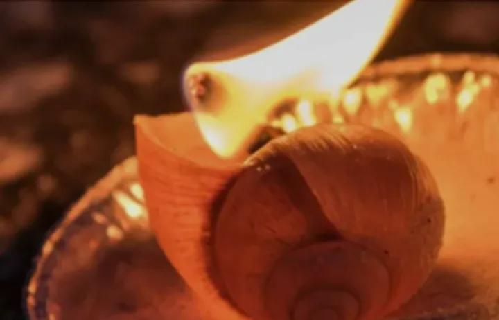 TikTok贝壳蜡烛灯千万播放，引爆“人鱼美学”新趋势