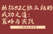 丝拓B2C独立站的成功之道：策略与实践