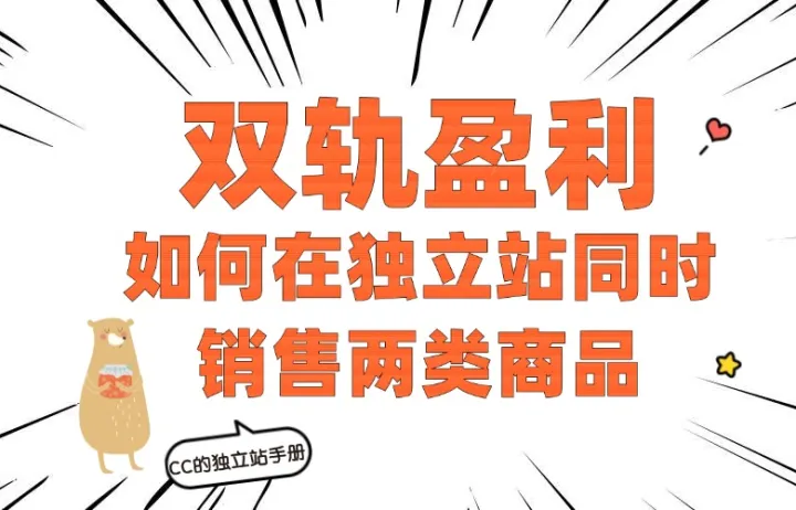 双轨盈利：如何在独立站同时销售两类商品