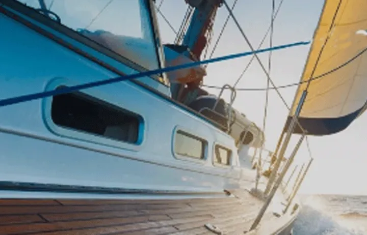 从1到n的过程中，品牌成长需要什么样的陪伴者？