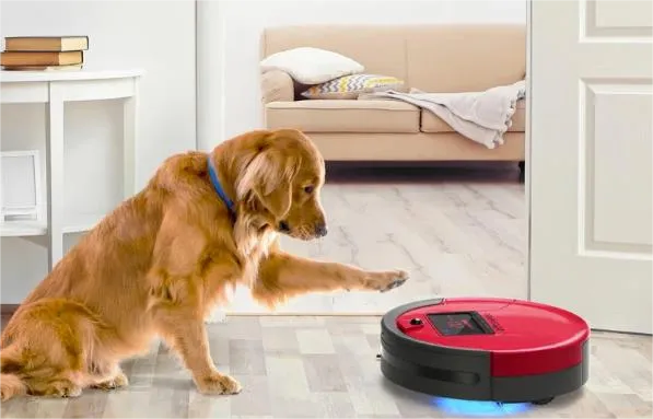 全球市场53亿美元！美的扫地机席卷欧洲，海外家居清洁产品成热门