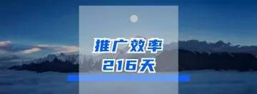推广效率_216天