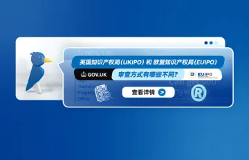 英国知识产权局（UKIPO）和欧盟知识产权局（EUIPO）的审查方式有哪些不同