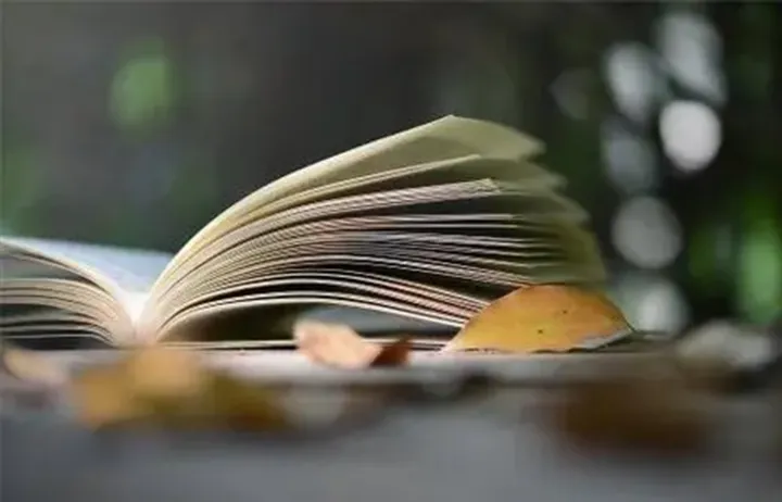 成长笔记：创业失败的三点原因