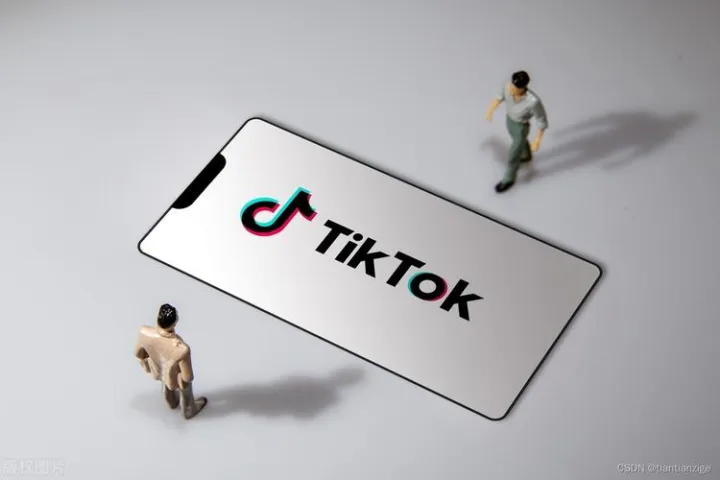 TikTok 添加新的对话用户界面以帮助指导其算法