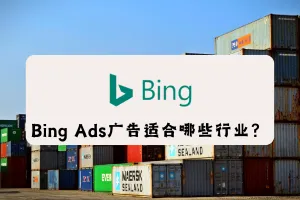 Bing Ads广告适合哪些行业？