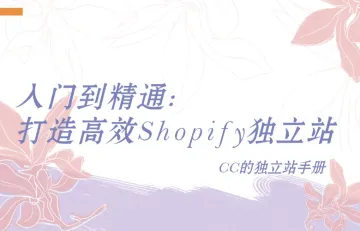 入门到精通：打造高效Shopify独立站