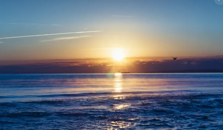 客户收到报价后突然安静了，怎么办？