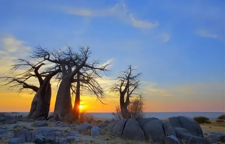 博茨瓦纳市场开发攻略，收藏一篇就够了