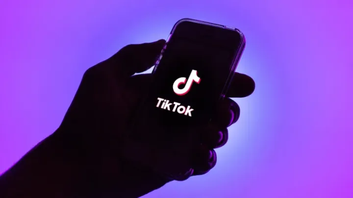 TikTok 悄悄推出了类似 GIF 的“视频贴纸”功能，用于直接发送消息