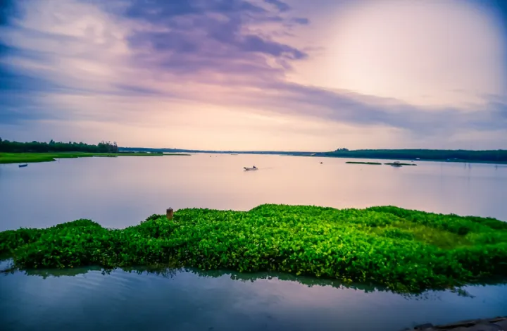 “平急两用”公共基础设施政策、案例