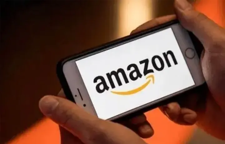 钱“兔”似锦！亚马逊美国站最赚钱的5大类别值得关注