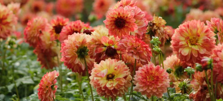 干货建议收藏！外贸业务需要用到的八大单据。