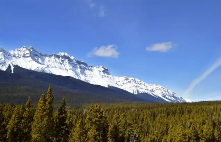 一文了解加拿大的商品和服务税（GST）