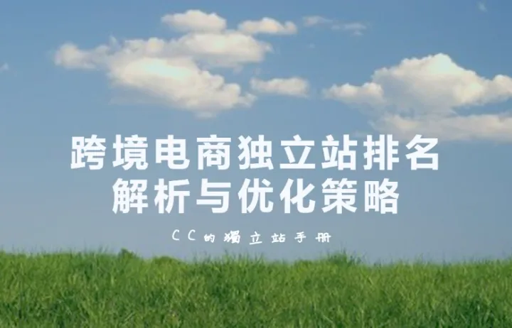 跨境电商独立站排名解析与优化策略