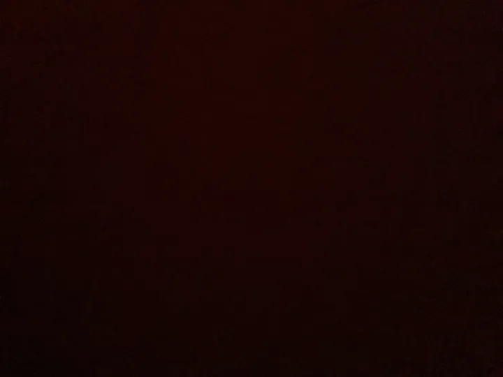 依次拿下日本、东南亚、美国三大市场 TikTok的海外“小黄书”不简单