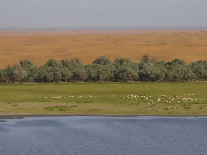 从传统TVC到微纪录片，看品牌如何创新讲述ESG的品牌故事？