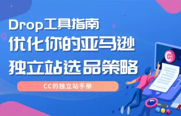 Drop工具指南：优化你的亚马逊独立站选品策略