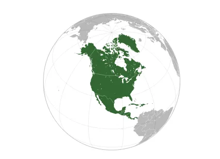 宠物电商“新王”诞生，Chewy逆袭亚马逊