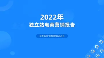 2022年独立站电商营销报告发布！