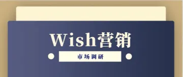 Wish营销市场调研：洞悉用户需求，制定精准策略