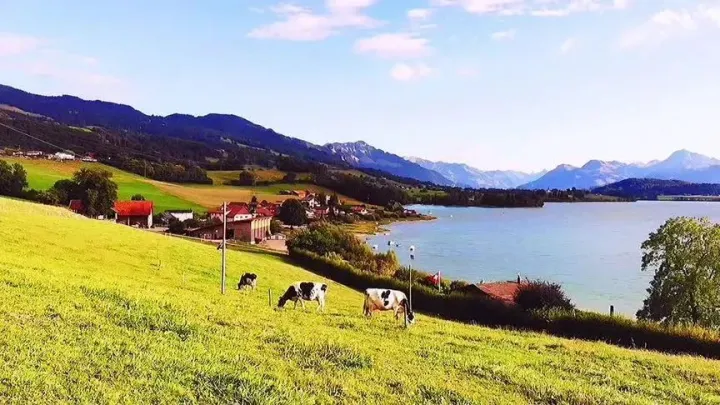 工作台待办——小功能也有大门道