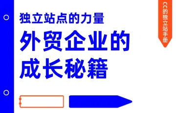 独立站点的力量：外贸企业的成长秘籍