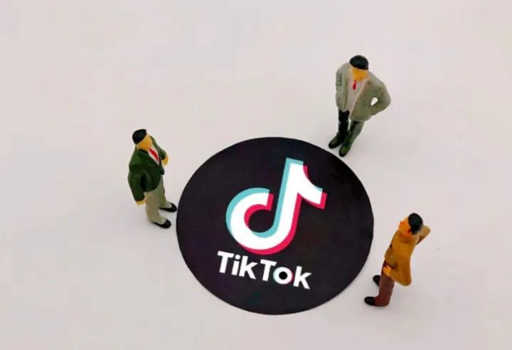 TikTok爆款视频剪辑及思路分享