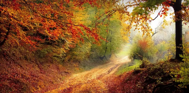 记笔记！41个加深客户印象的英语表达技巧