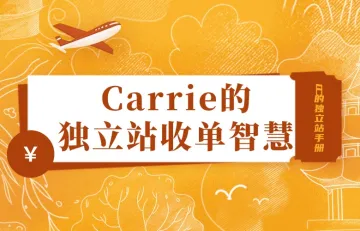 Carrie的独立站收单智慧