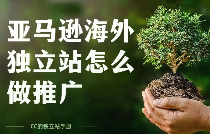 海外独立站开发注意事项