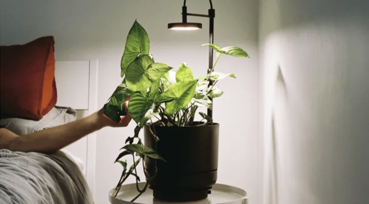 如何通过一个文案技巧将网站转换率提高20%的