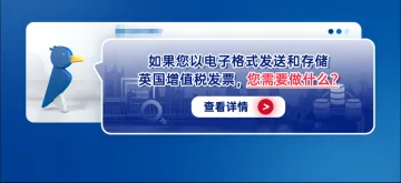 如果您以电子格式发送和存储英国增值税发票，您需要做什么？