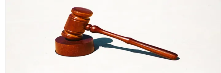 “滥竽”禁止“充数”，TikTok Shop又成被枪打的那只“出头鸟”