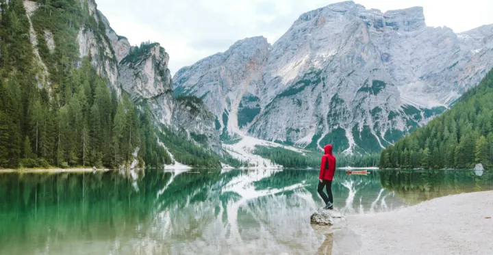 多商户系统管理——商户入驻