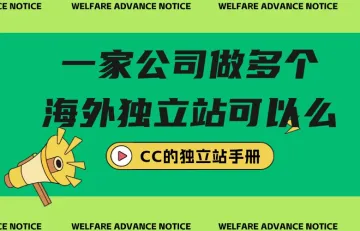 一家公司做多个海外独立站可以么