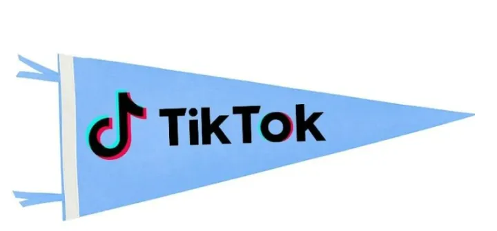 不温不火的抖音视频却在TikTok获得百万播放量