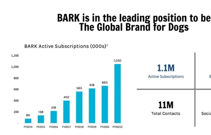 靠“盲盒营销”上市，TikTok玩得贼溜的宠物零食大卖