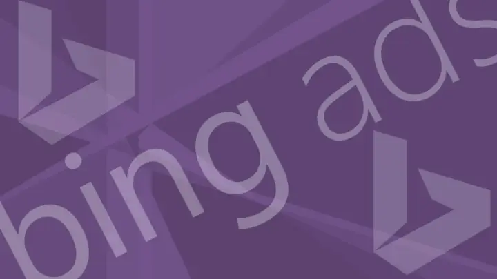  如何使用Bing