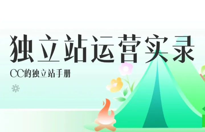 独立站运营实录