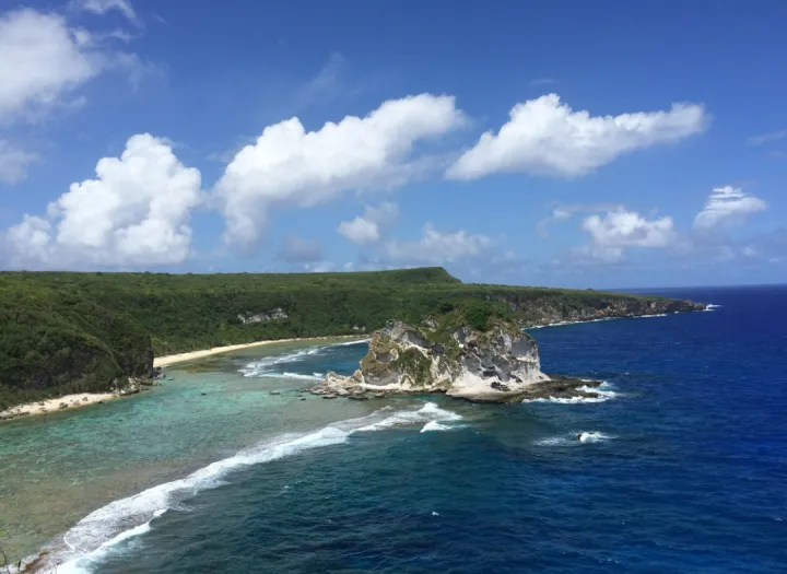 明星下场、品牌加码，“爆改”火热背后谁在获利？